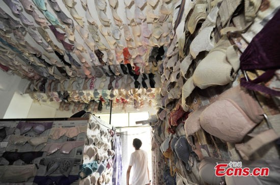 Người đàn ông sở hữu 5.000 nội y nữ sinh - ảnh 4
